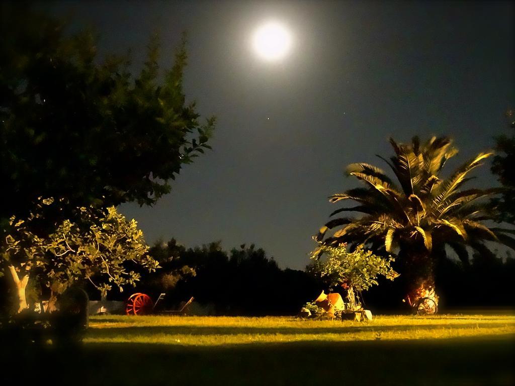 פסאקודיה Apartments Karpetis A Green Paradise מראה חיצוני תמונה