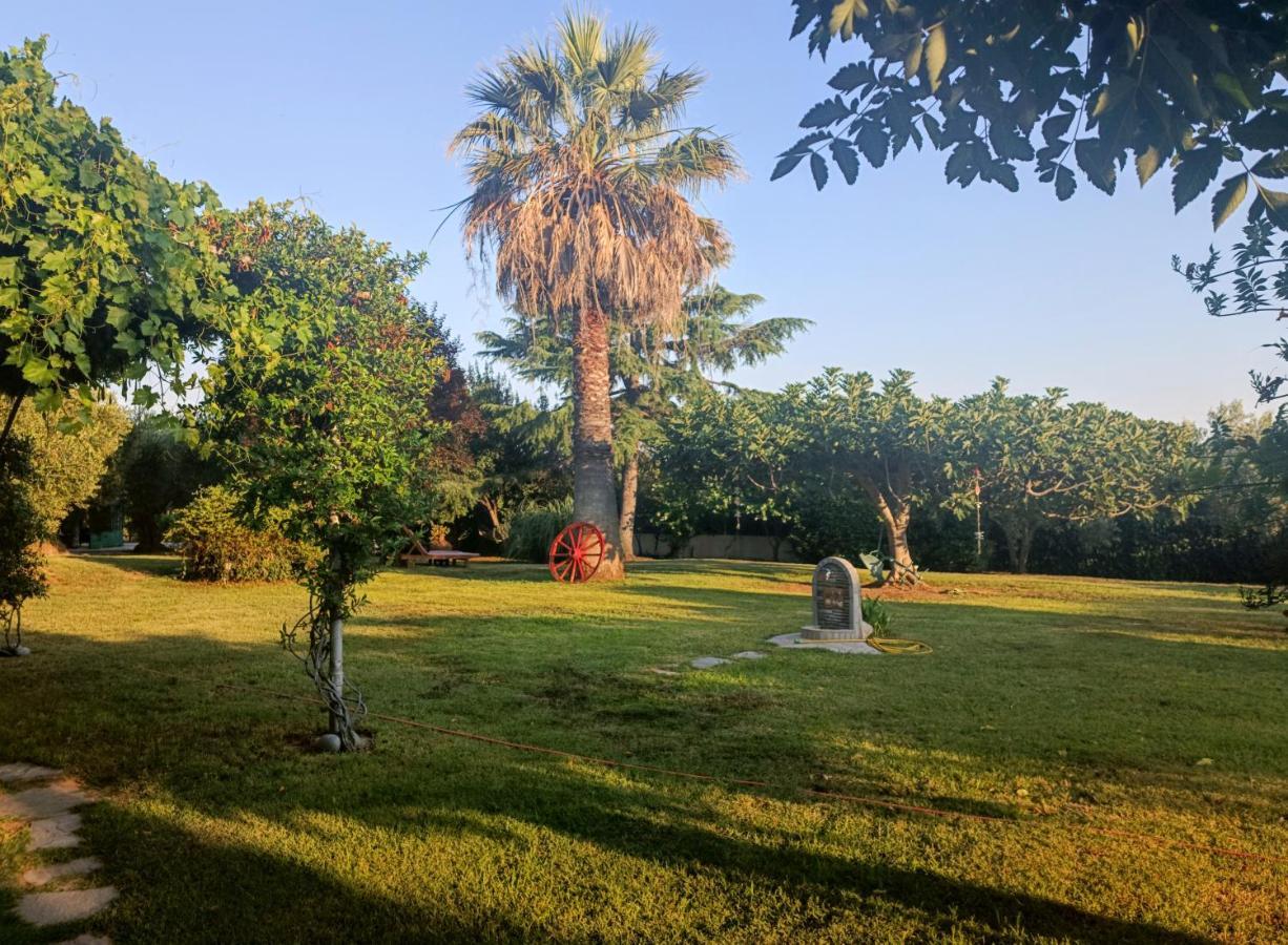 פסאקודיה Apartments Karpetis A Green Paradise מראה חיצוני תמונה
