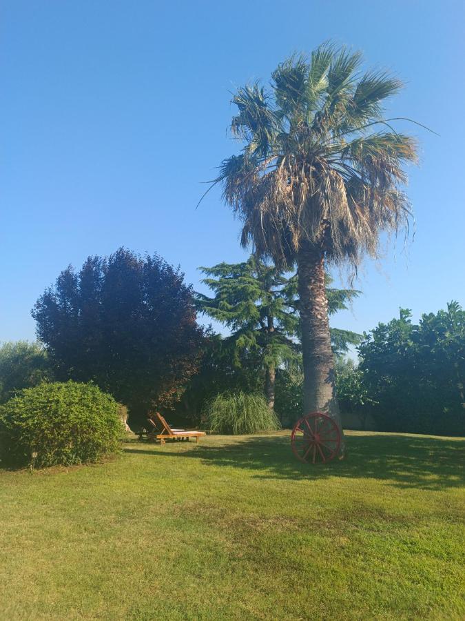 פסאקודיה Apartments Karpetis A Green Paradise מראה חיצוני תמונה